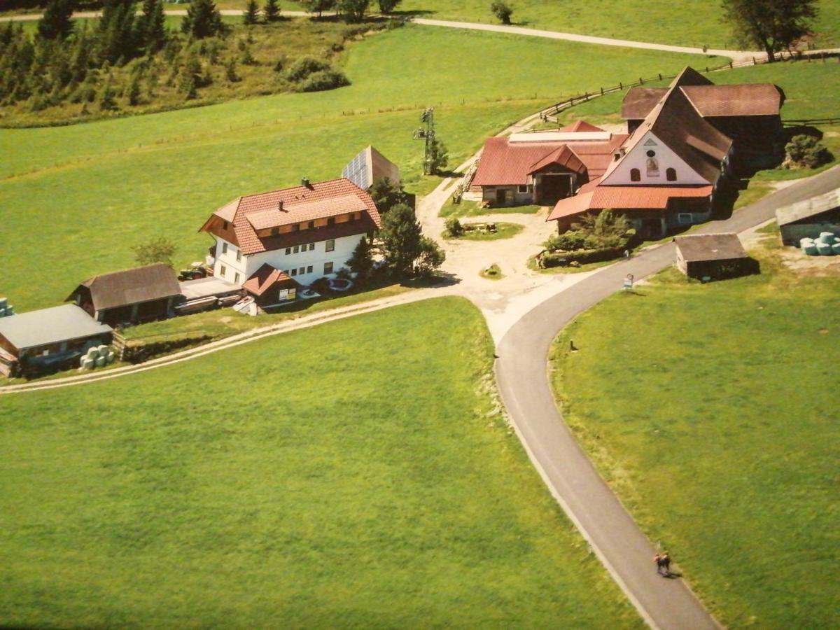 Erholung Am Bauernhof Bei Familie Seidl / Messner Villa Zeutschach Exterior foto