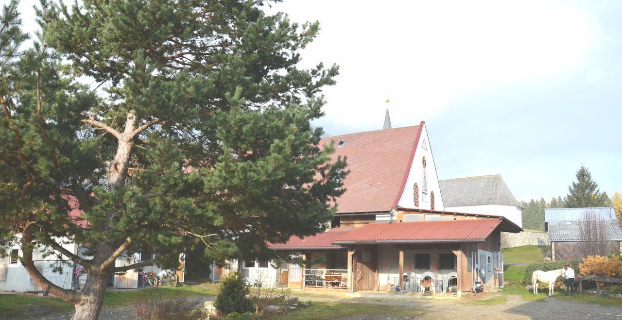 Erholung Am Bauernhof Bei Familie Seidl / Messner Villa Zeutschach Exterior foto
