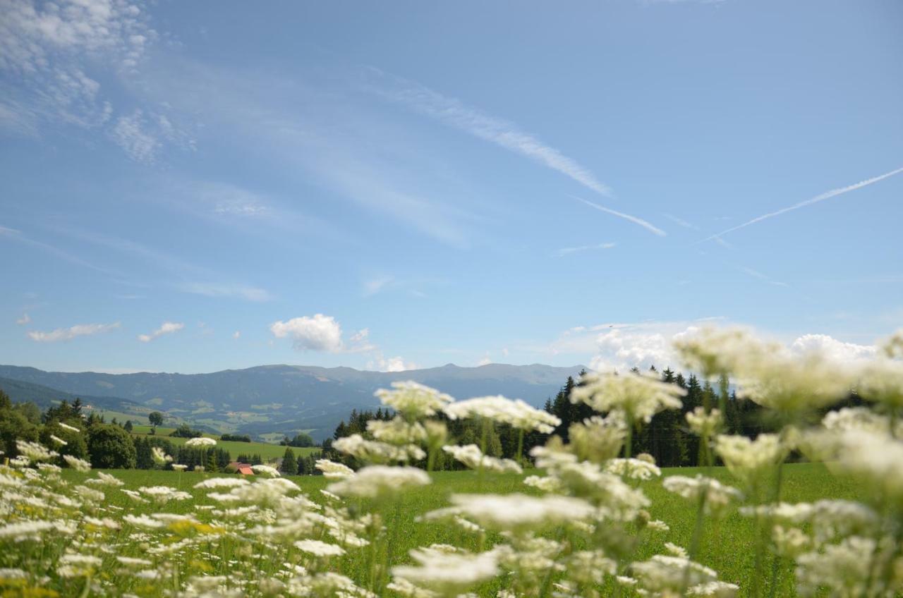 Erholung Am Bauernhof Bei Familie Seidl / Messner Villa Zeutschach Exterior foto