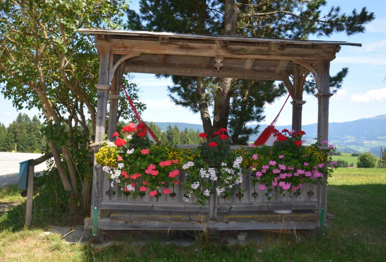 Erholung Am Bauernhof Bei Familie Seidl / Messner Villa Zeutschach Exterior foto
